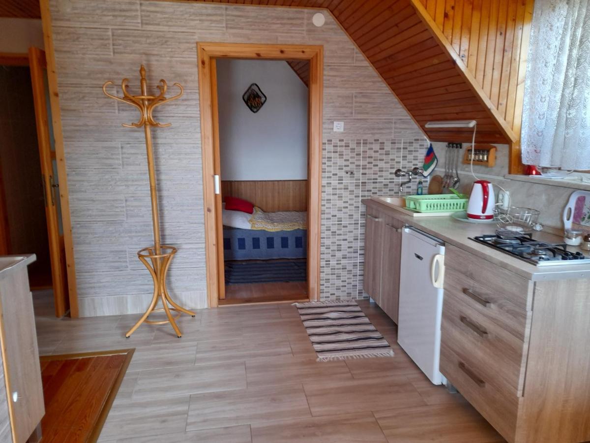 Harmonia Vendeghaz 100 Meterre Az Igali Gyogyfuerdotol Apartman Kültér fotó