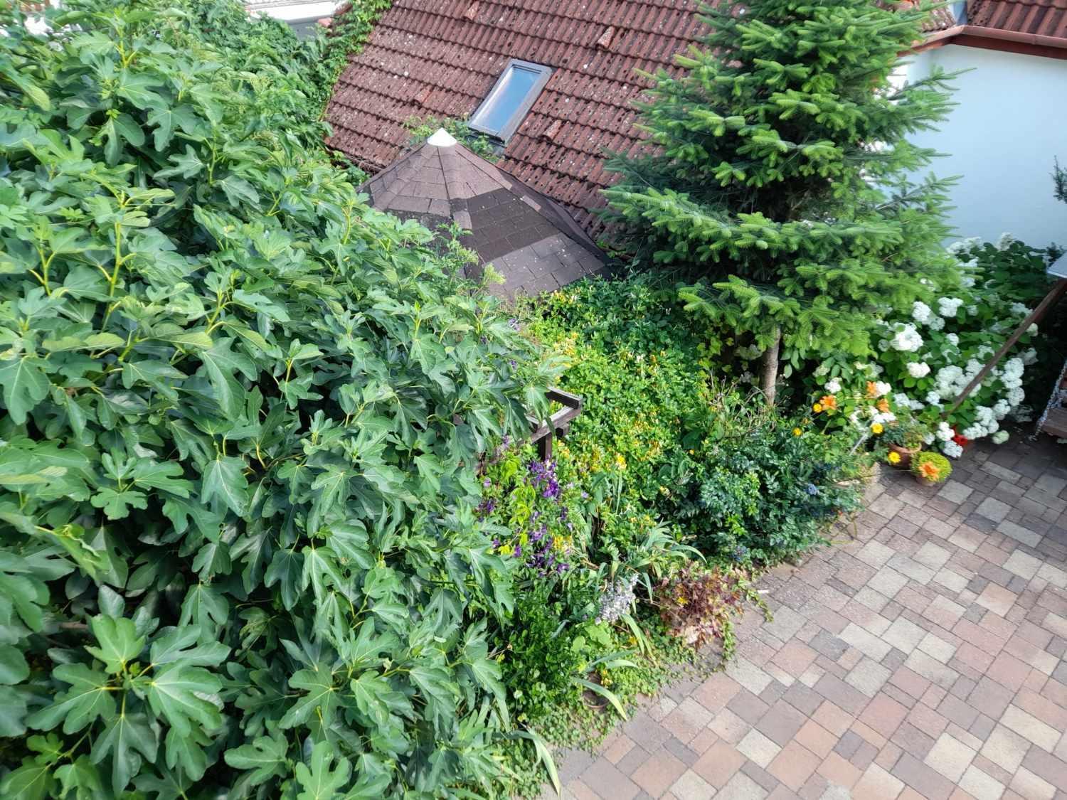 Harmonia Vendeghaz 100 Meterre Az Igali Gyogyfuerdotol Apartman Kültér fotó