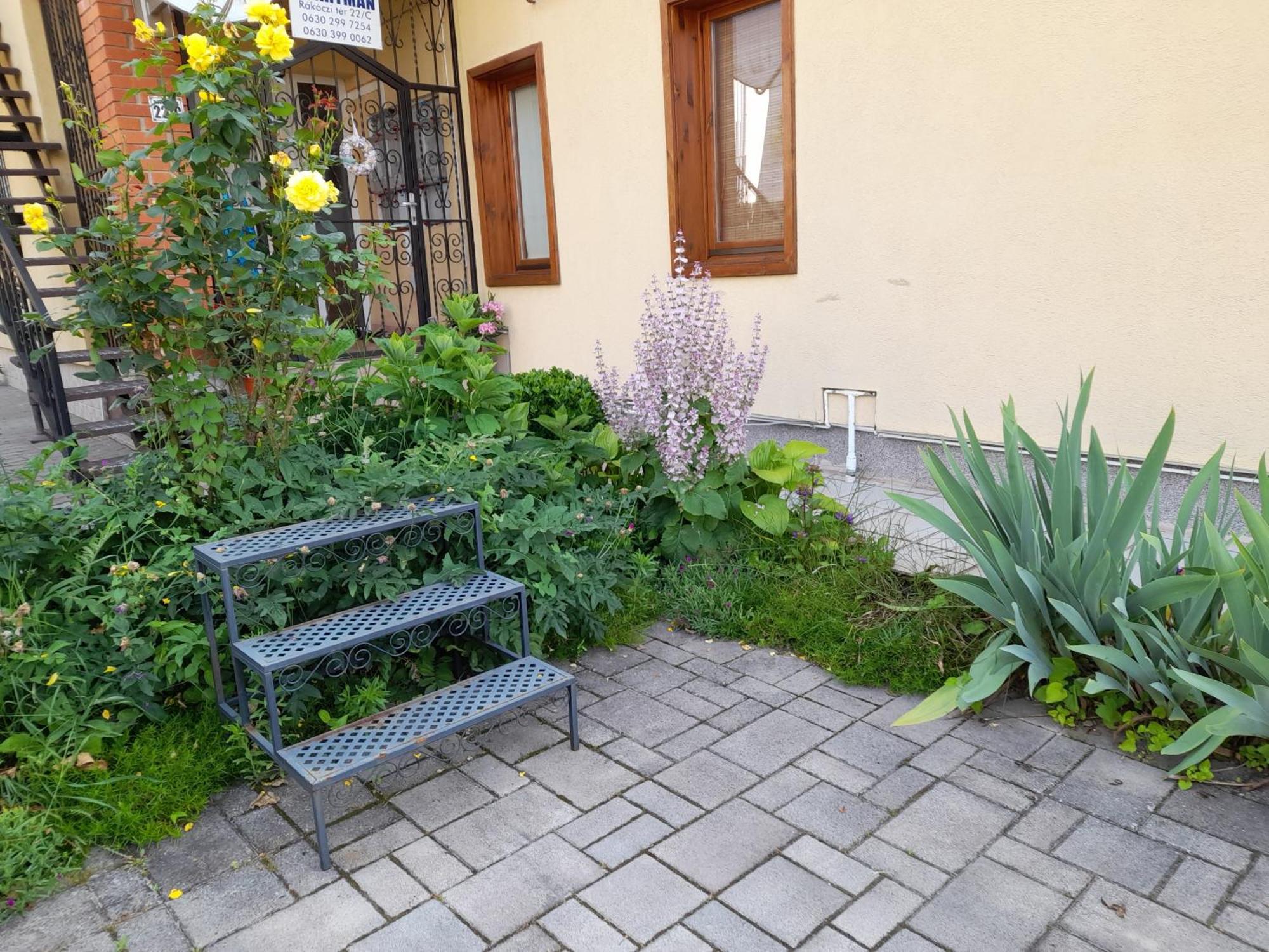 Harmonia Vendeghaz 100 Meterre Az Igali Gyogyfuerdotol Apartman Kültér fotó