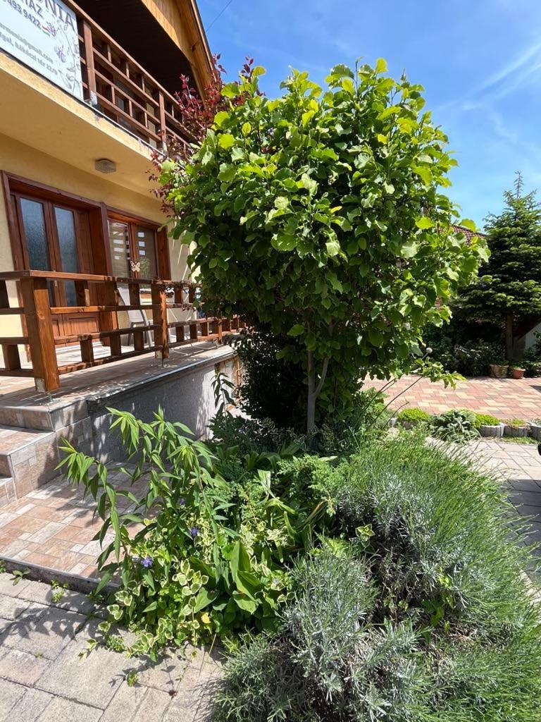 Harmonia Vendeghaz 100 Meterre Az Igali Gyogyfuerdotol Apartman Kültér fotó